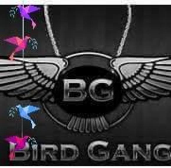 Meet your Posher, Jeremy - Picture 1 of 1